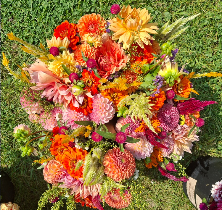 bright-bouquet.png